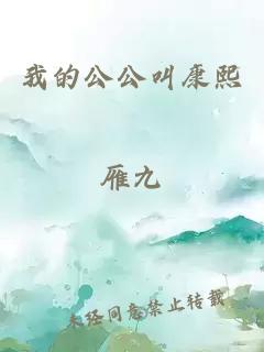 我的公公叫康熙